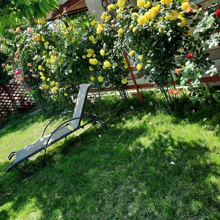 Casa De Vacanta Alexoiu Două Mai Exteriör bild