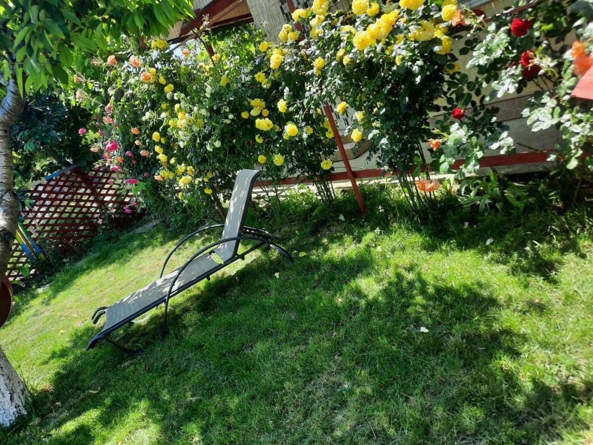 Casa De Vacanta Alexoiu Două Mai Exteriör bild